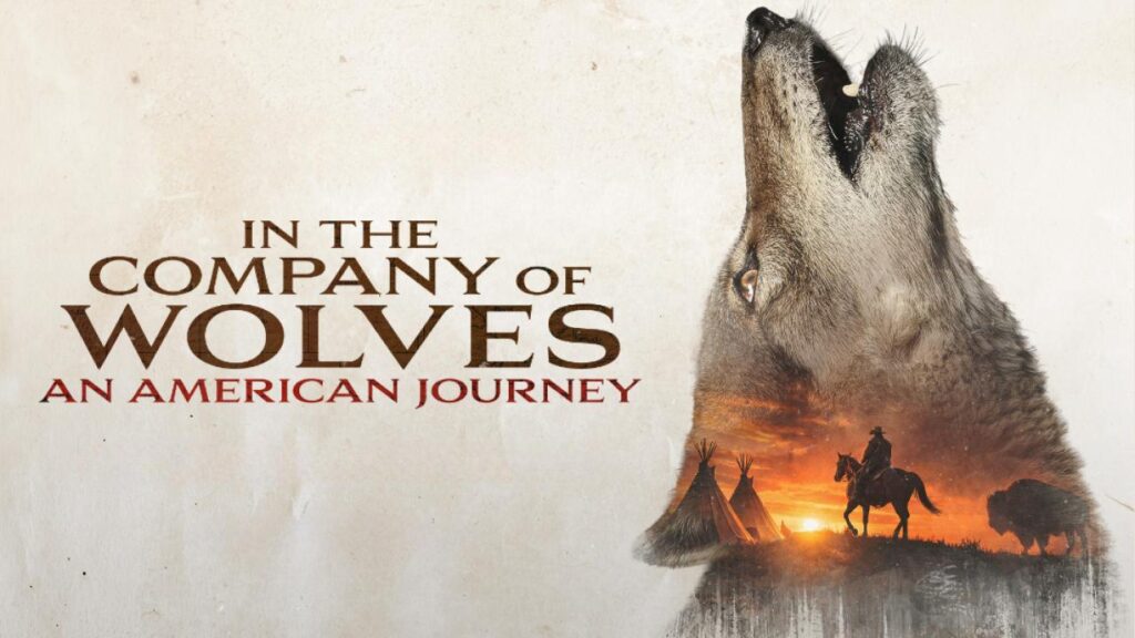 مشاهدة فيلم In The Company Of Wolves An American Journey 2026 مترجم